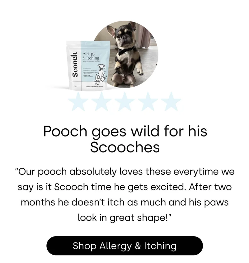 Shop Allergy & Itching