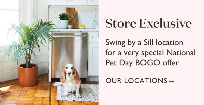 Swing by a Sill location for a very special National Pet Day BOGO offer.