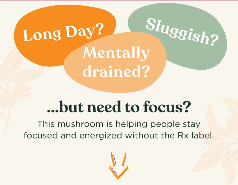 Long Day? Sluggish? Mentally drained? ...but need to focus? This mushroom is helping people stay focused and energized without the Rx label.
