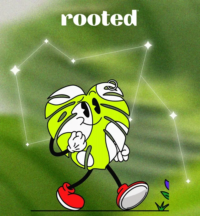 The Stars Are Aligning