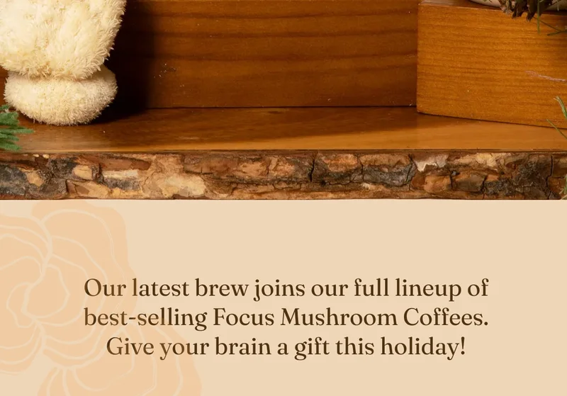 Our latest brew joins our full lineup of best-selling Focus Mushroom Coffees.