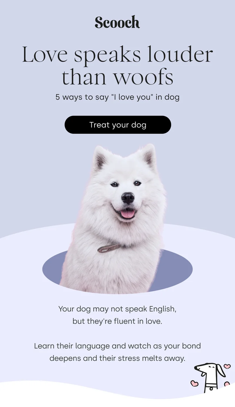 5 ways to say "I love you" in dog - Treat your dog
