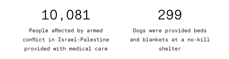 10,081  People affected by armed conflict in Israel-Palestine provided with medical care;  299 Dogs provided beds and blankets at a no-kill shelter