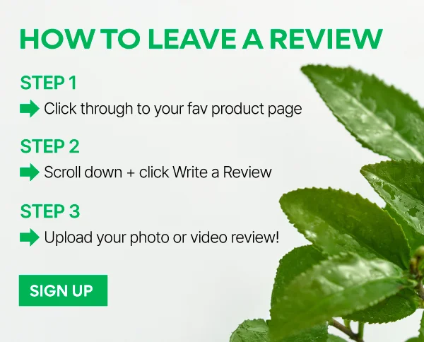 LEAVE A REVIEW