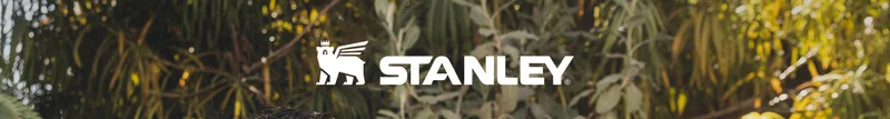 Stanley 1913