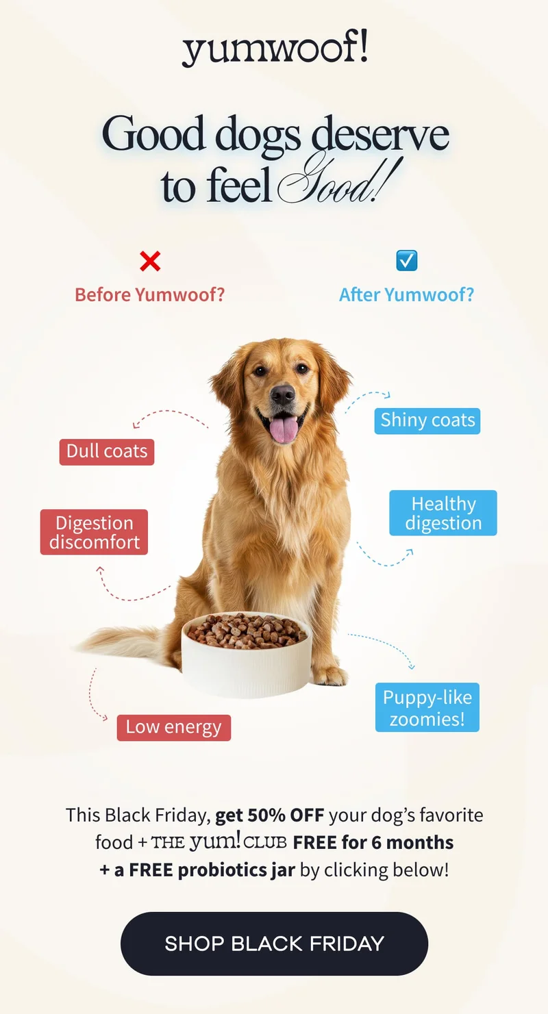 yumwoof! | Good Dogs Deserve To Feel Good! | This Black Friday, get 50% OFF your dog’s favorite food +                                    FREE for 6 months + a FREE probiotics jar by clicking below! | SHOP BLACK FRIDAY
