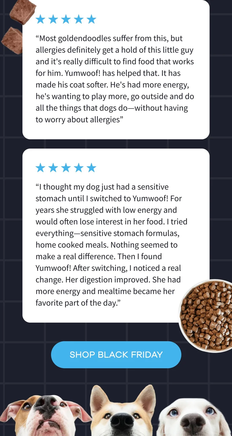 “Most goldendoodles suffer from this, but allergies definitely get a hold of this little guy and it's really difficult to find food that works for him. Yumwoof! has helped that. It has made his coat softer. He's had more energy, he's wanting to play more, go outside and do all the things that dogs do—without having to worry about allergies” | “I thought my dog just had a sensitive stomach until I switched to Yumwoof! For years she struggled with low energy and would often lose interest in her food. I tried everything—sensitive stomach formulas, home cooked meals. Nothing seemed to make a real difference. Then I found Yumwoof! After switching, I noticed a real change. Her digestion improved. She had more energy and mealtime became her favorite part of the day.” | SHOP BLACK FRIDAY