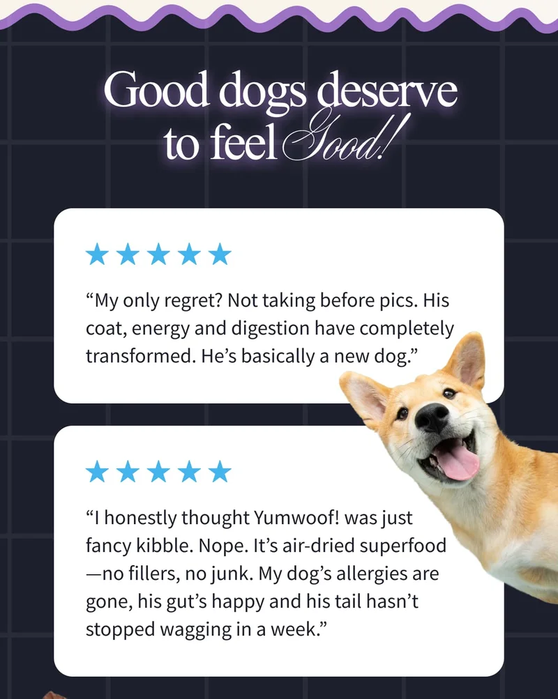 Good Dogs Deserve To Feel Good! | “My only regret? Not taking before pics. His coat, energy and digestion have completely transformed. He’s basically a new dog.” | “I honestly thought Yumwoof! was just fancy kibble. Nope. It’s air-dried superfood—no fillers, no junk. My dog’s allergies are gone, his gut’s happy and his tail hasn’t stopped wagging in a week.”
