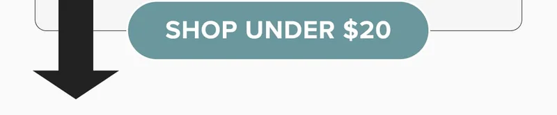 shop under $20