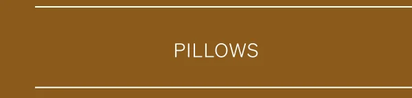 Shop Pillows