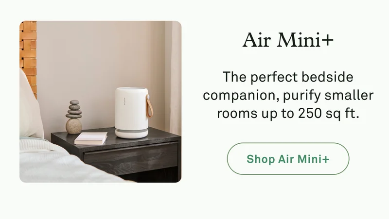 Air Mini+