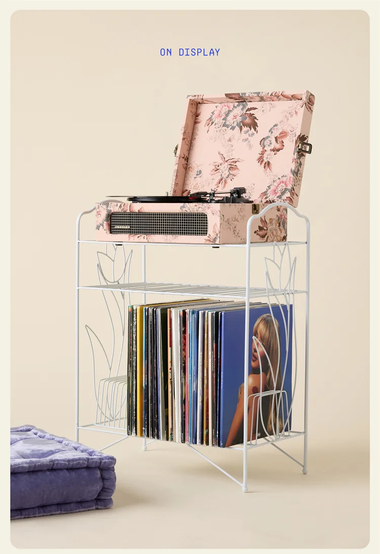 IMAGE-VINYL STORAGE