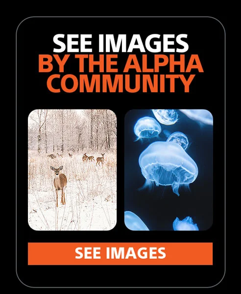 See Images By The Alpha Community | See Images
