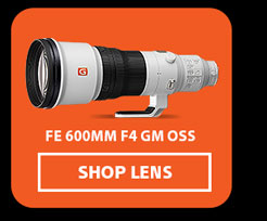 FE 600mm F4 GM OSS | Shop Lens