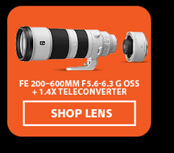 FE 200-600mm F5.6-6.3 G OSS + 1.4X Teleconverter | Shop Lens
