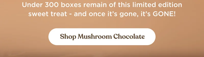 Under 300 boxes remain of this limited edition sweet treat - and once it’s gone, it’s GONE! | Shop Mushroom Chocolate