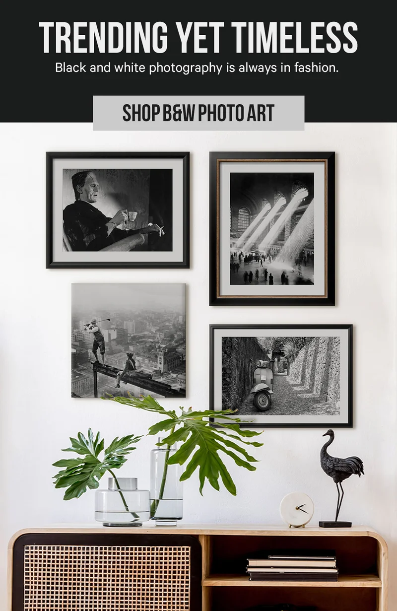 Black & White Photography