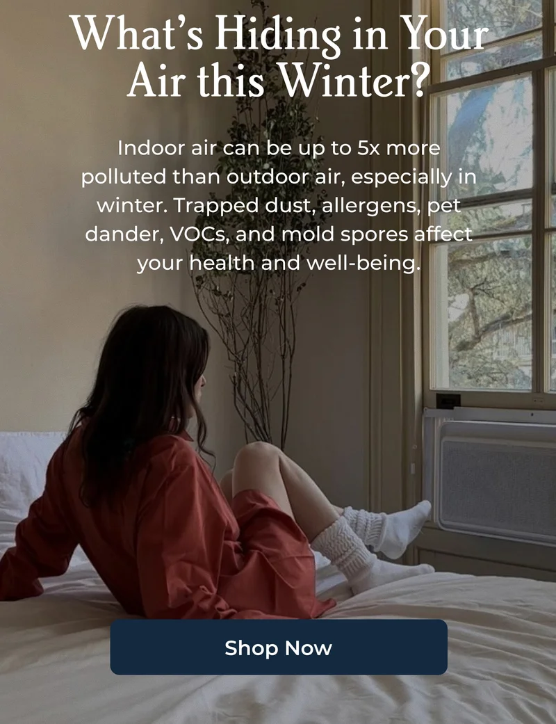 What’s Hiding in Your Air this Winter?