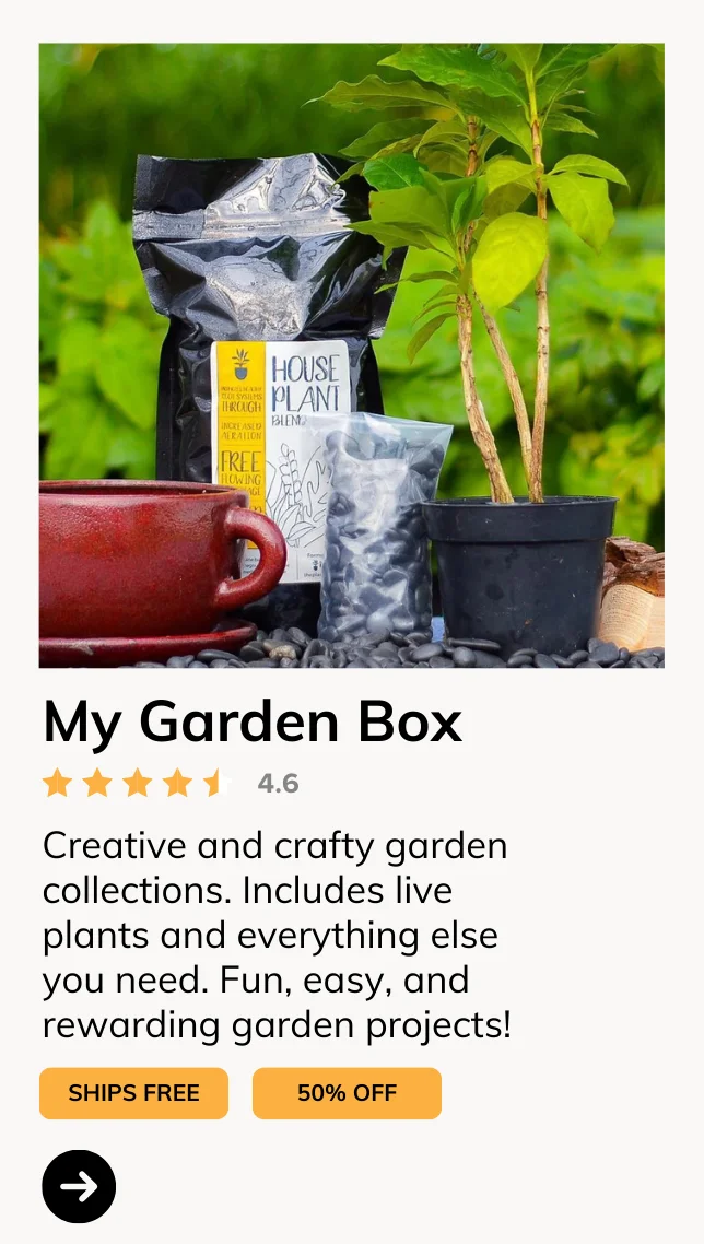 My Garden Box