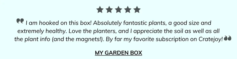 My Garden Box
