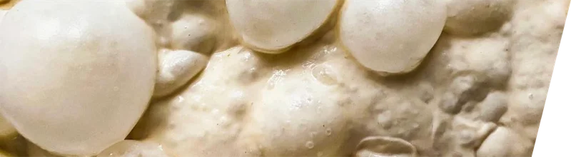 Ooni Classic Pizza Dough