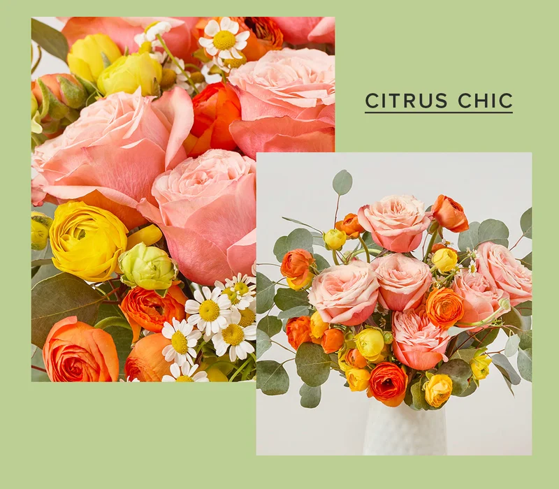 Citrus Chic
