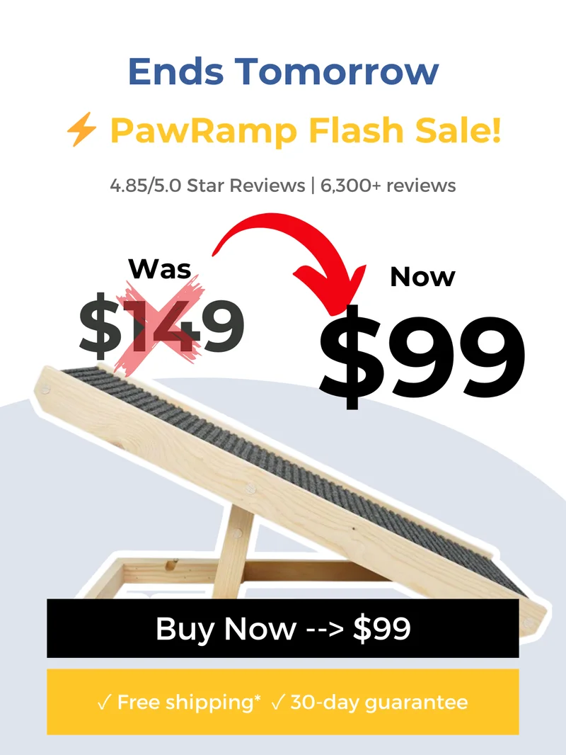 PawRamp