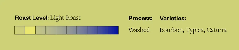 Roast level: Light Process: Washed Varieties: Bourbon Typica, Caturra