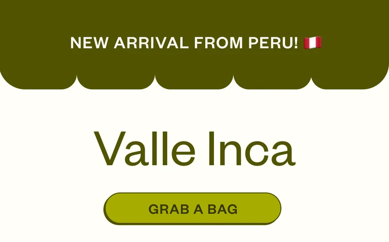 New Arrival from Peru Valle Inca Grab a bag