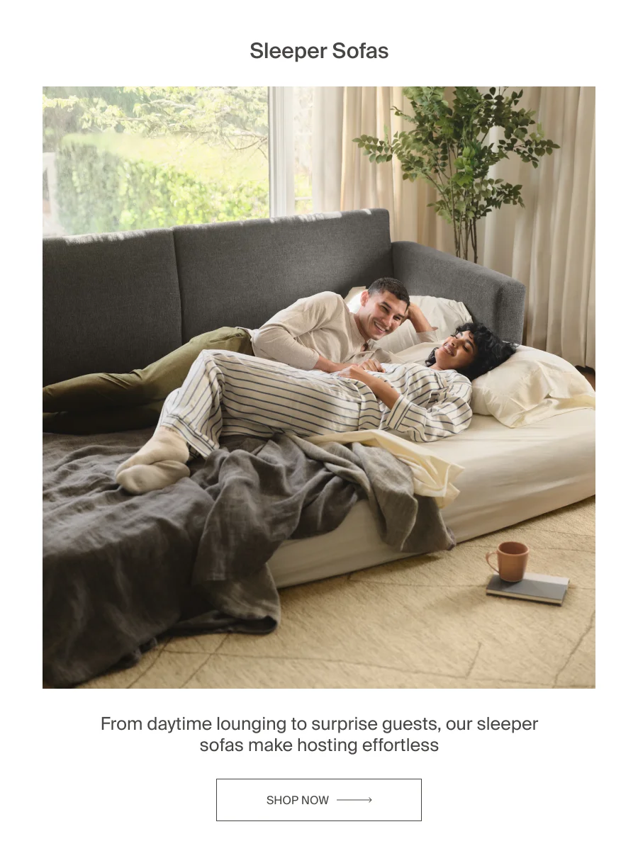 Sleeper Sofas