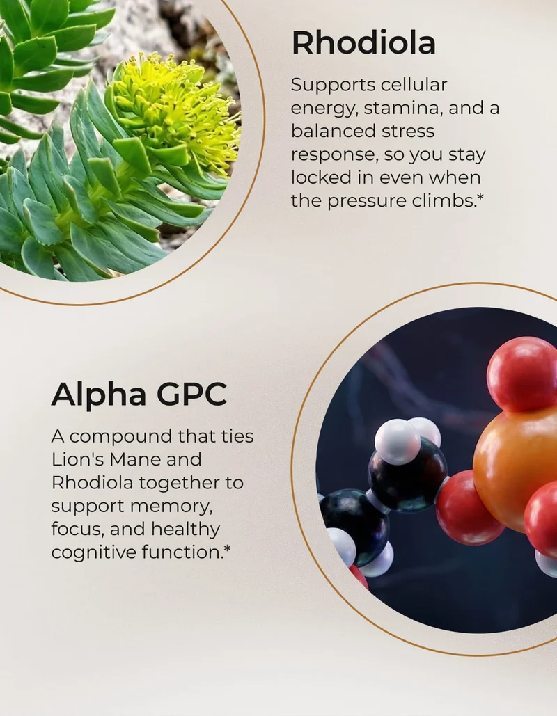 What Makes Our Gummies Work