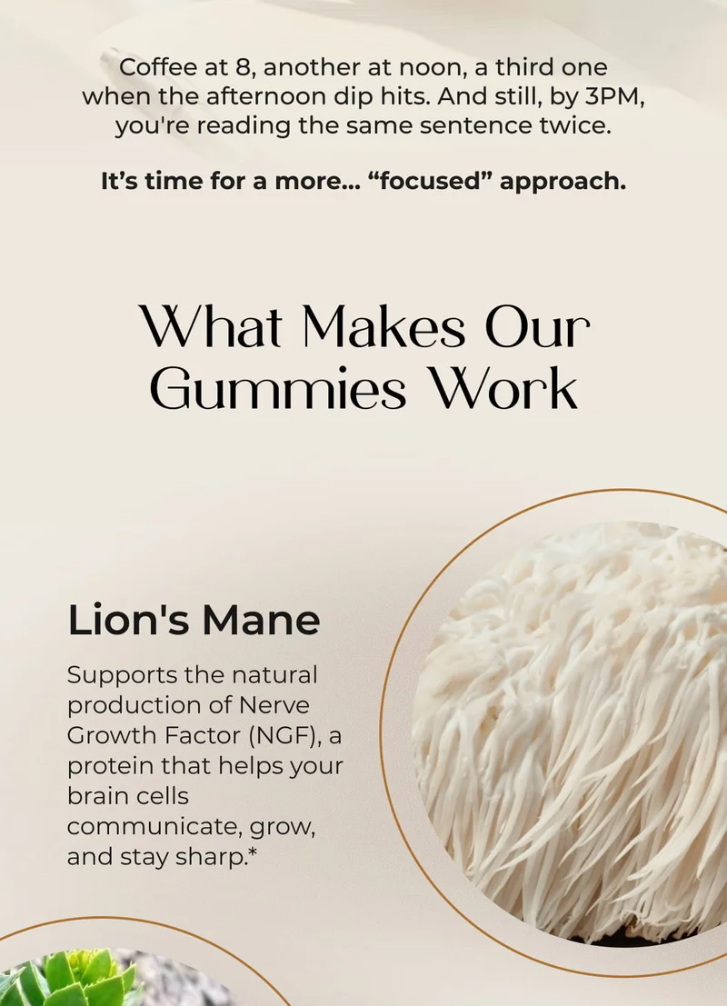What Makes Our Gummies Work