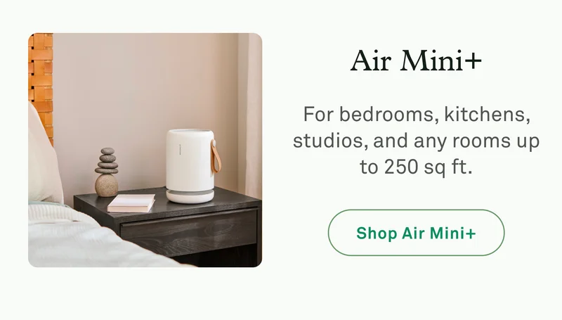 Air Mini+