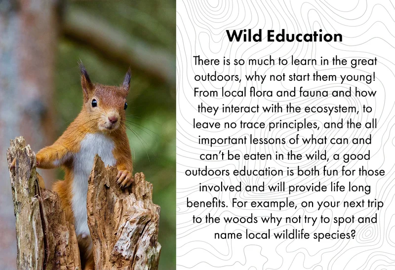 Wild Education