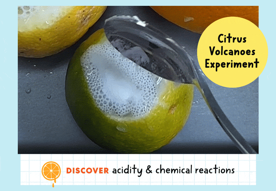 Citrus Volcanoes Experiment