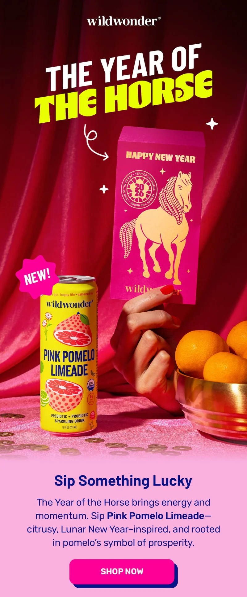 The year of the horse