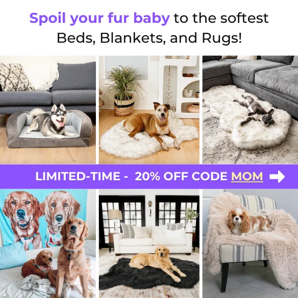 Blankets and Rugs