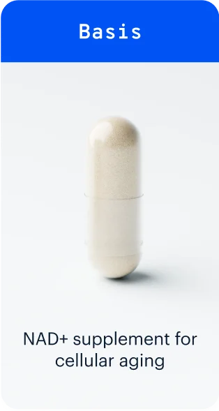 Basis