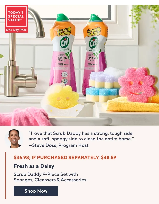Scrub Mommy 9-Piece Flower Sponges & 750mL CIF Cleansers Kit