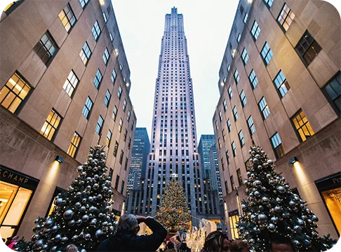 Image Description: Pine trees decorated with holiday ornaments surrounded by skyscrapers.