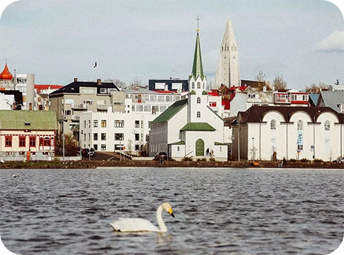Image Description: A gothic city near a river with a swan in the water.