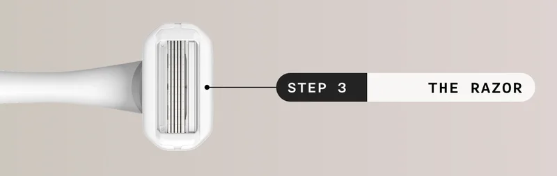Step 3: The Razor