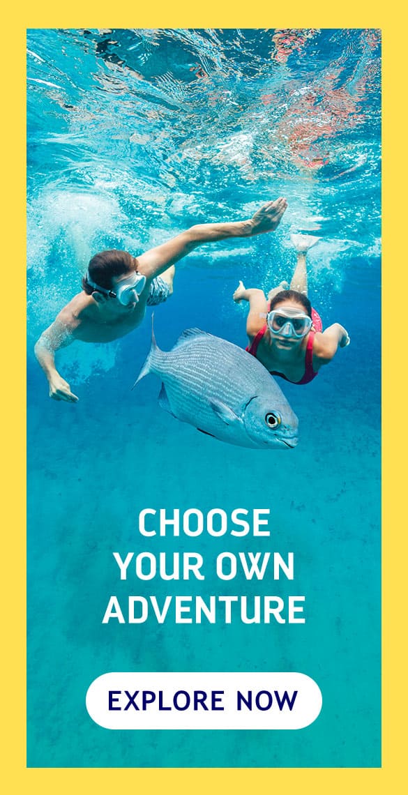 CHOOSE YOUR OWN ADVENTURE