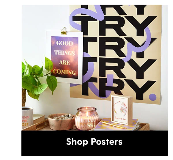 Shop Posters
