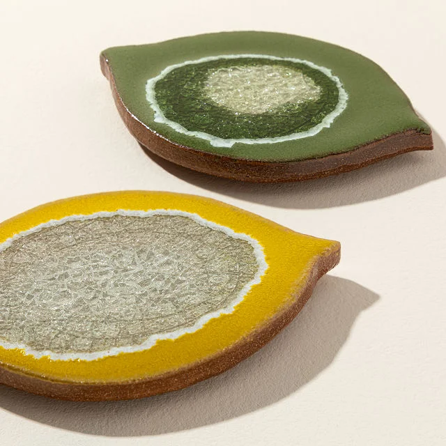 Citrus Coasters – Set of 2