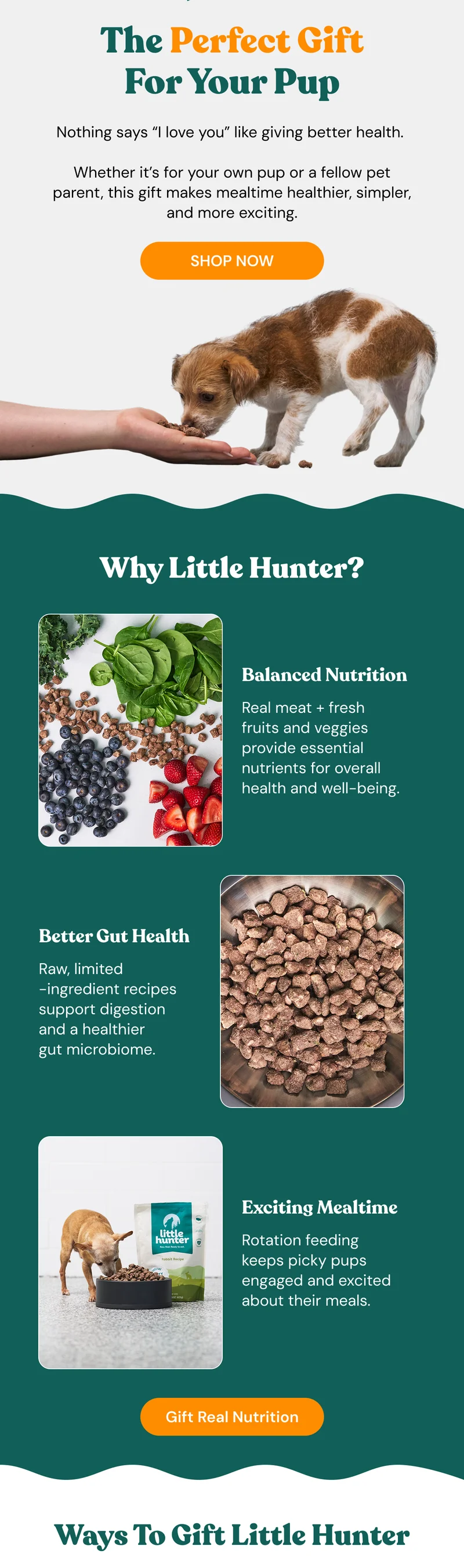 Gift better health, Gift Little Hunter!