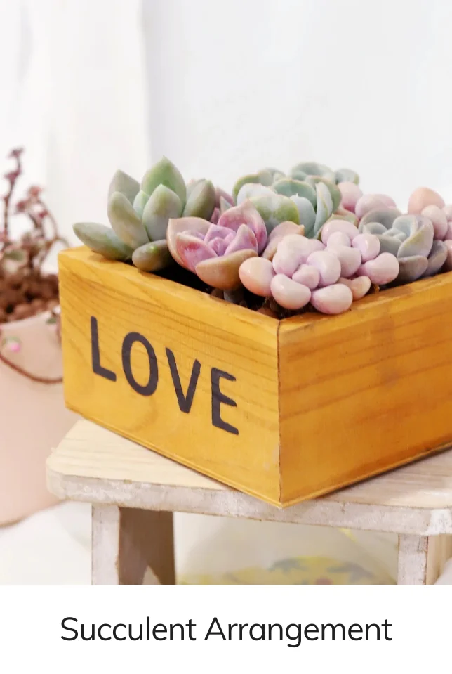 Succulent Arrangement Centerpiece Rectangle Wooden Planter 10″ x 3.5″ x 3″