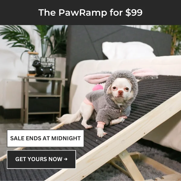 PawRamp Sale