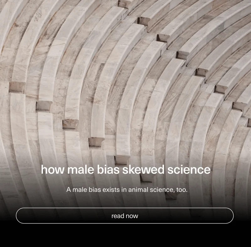how male bias skewed science |  A&nbsp;male bias exists in animal science, too.&nbsp;| [ read now ]