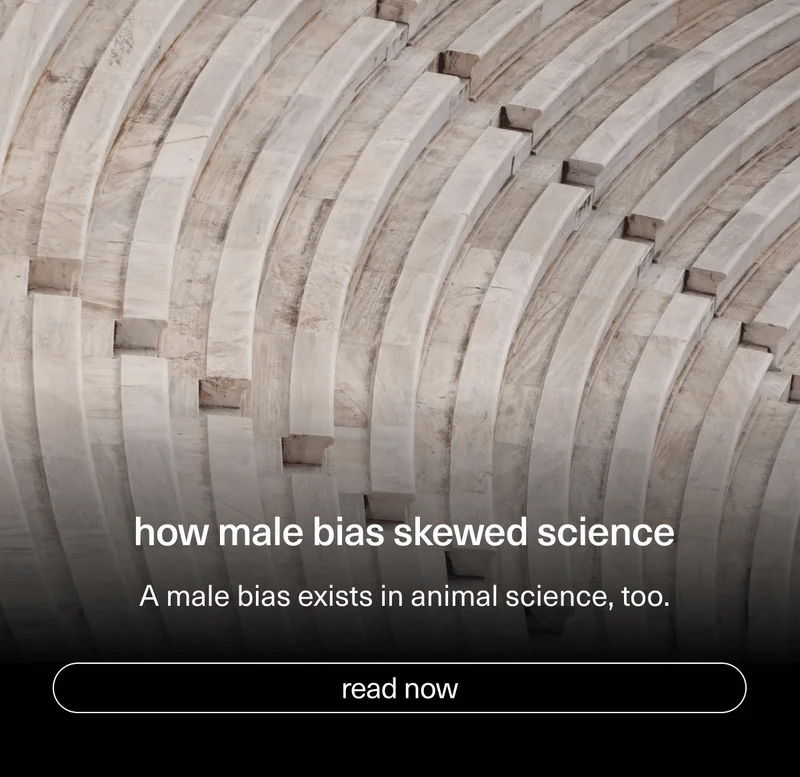 how male bias skewed science | A&nbsp;male bias exists in animal science, too.&nbsp;| [ read now ]